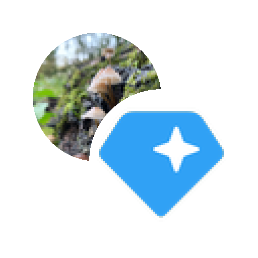 LP Token for MUSH-GRAM