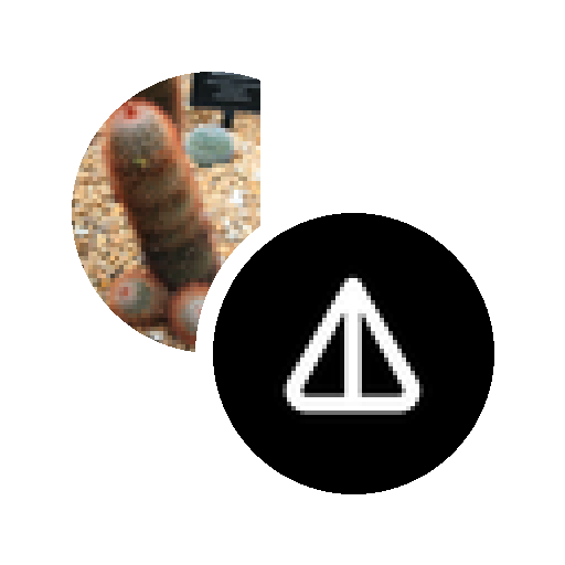LP Token for Anon-NOT