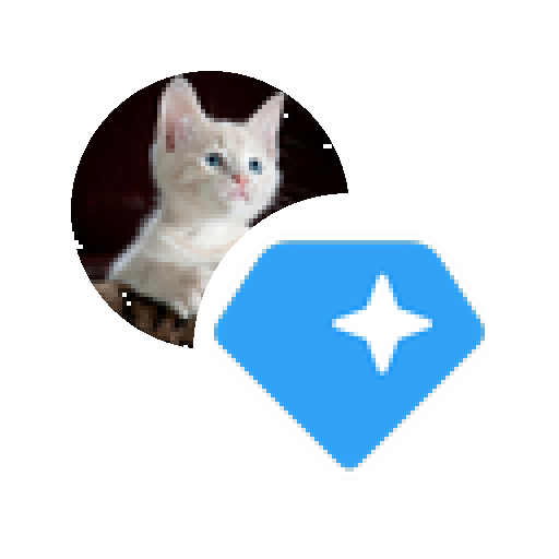 LP Token for BSDKCAT-GRAM