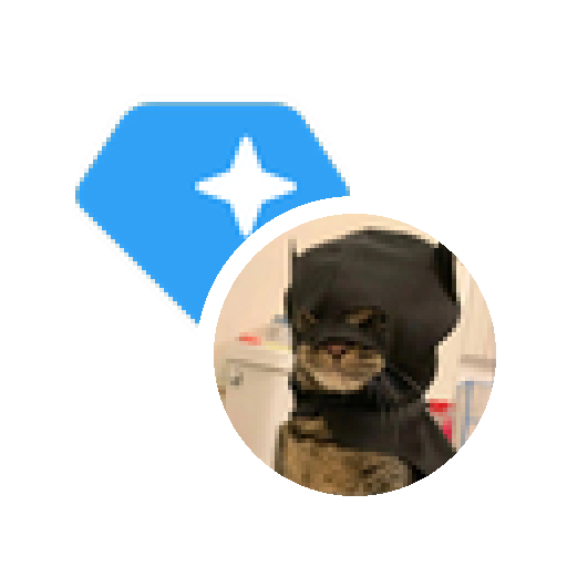 LP Token for GRAM-BATCAT