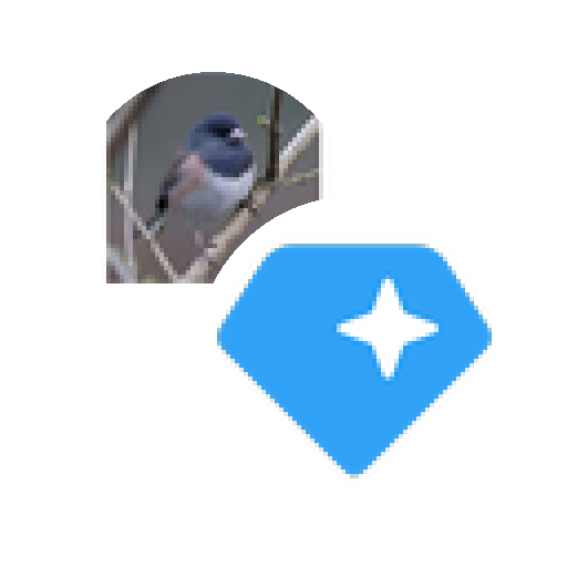 LP Token for BIRD-GRAM