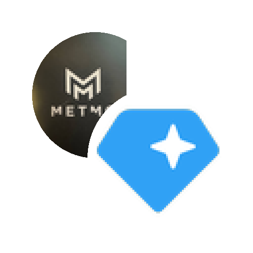 LP Token for METMO-GRAM